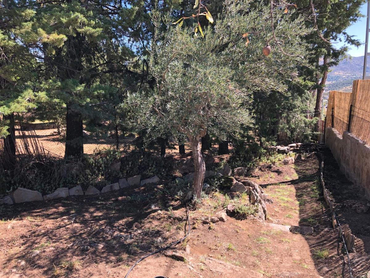 Casa Rural Los Olivos De Robledo De Chavela La Estacion Bagian luar foto