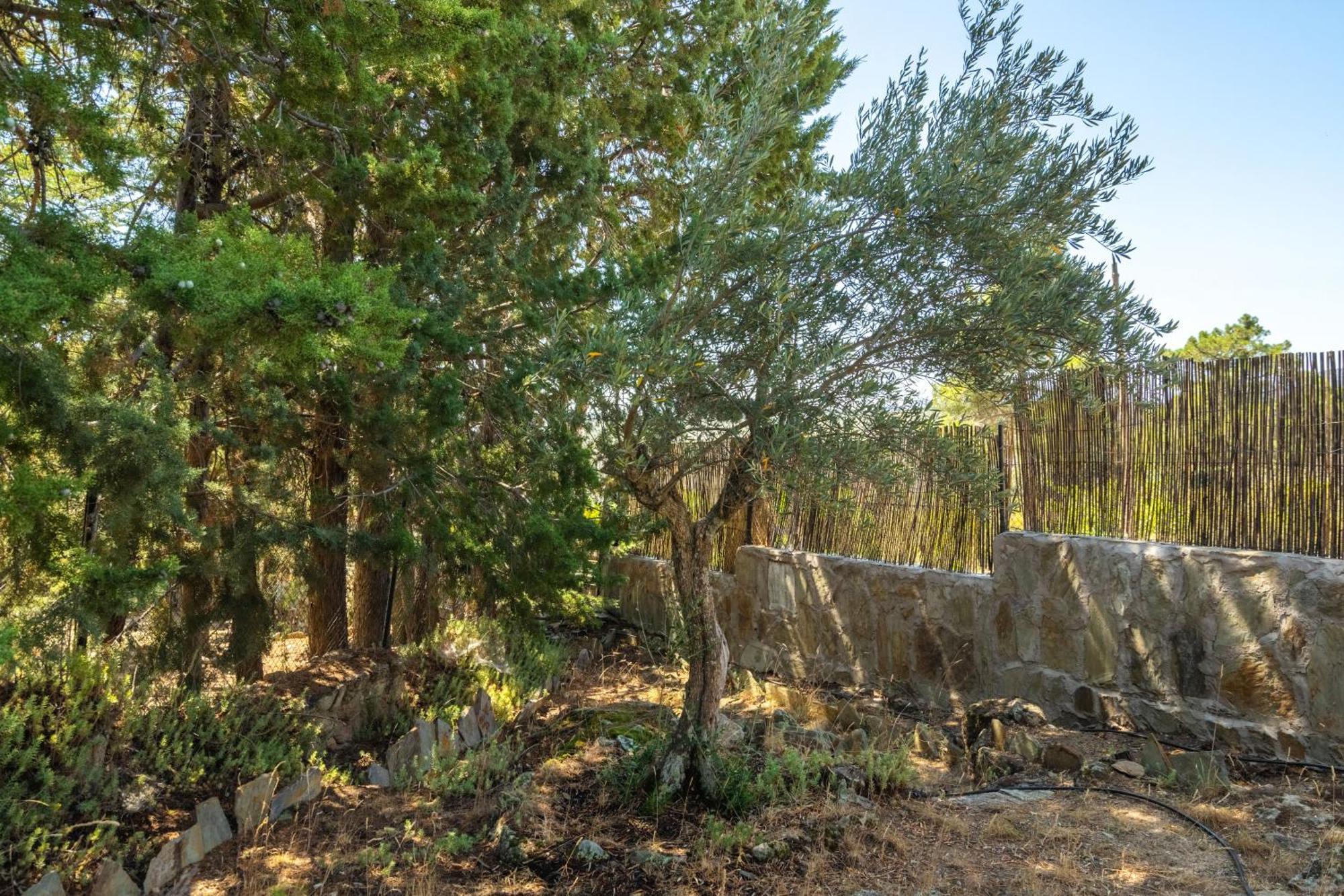Casa Rural Los Olivos De Robledo De Chavela La Estacion Bagian luar foto